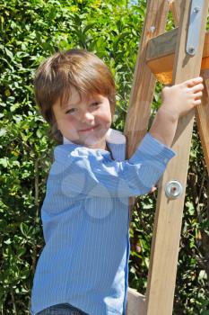 The charming little boy with a smile poses on step-ladder. In the background - spring green hedges