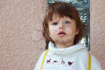 The charming little boy with chestnut hair in the white embroidered sweater
