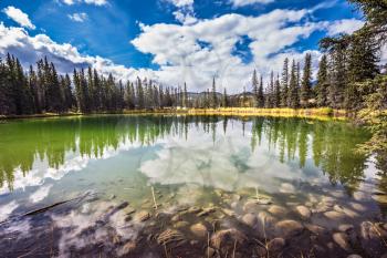 Autumn day in Jasper National Park in the Rocky Mountains.  Small shallow lake surrounded by pine forest. The mirror surface of water reflects the cloudy sky