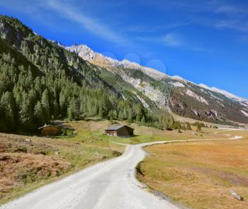 Sunny autumn day. Wide dirt road in an Alpine valley. The mountain slopes are covered with dense pine forest