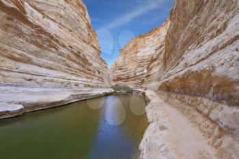 Unique canyon in Israel - En - Avdat. Striped sandstone walls and a cold stream. In the water reflected the canyon walls and sky