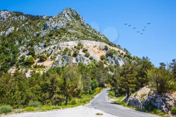 The largest alpine canyon Verdon, Provence, France. Turn of the mountain road. In the sky flies a flock of migrating cranes