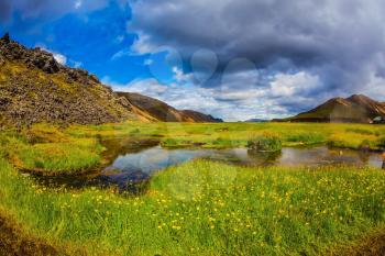 The picturesque valley in Landmannalaugar national park. Summer in Iceland. Green grass among hot springs