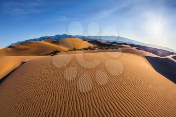  Bizarre twists of orange sand dunes. Mesquite Flat Sand Dunes. Bright sunny morning in a picturesque part of Death Valley, USA
