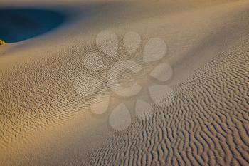 Windy and hot morning in the desert. Small ripples on the sand dunes. Picturesque part of Death Valley, USA. Mesquite Flat Sand Dunes