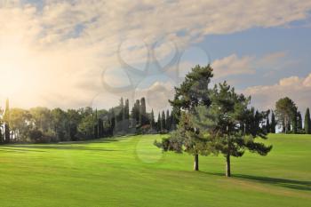 The most romantic landscape park a garden in Italy. Shining rays of evening sun sharp light charming green grassy lawns