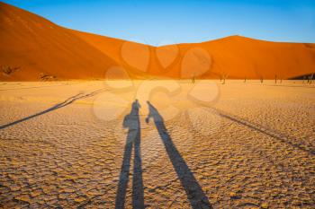  Travel to Namibia. Namib-Naukluft National Park. White bottom of a dried-up lake surrounded by orange dunes. Long shadows from people with cameras