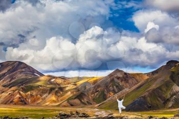 The elderly woman carries out pose of Tree in yoga among thermal sources. The picturesque valley in Landmannalaugar national park