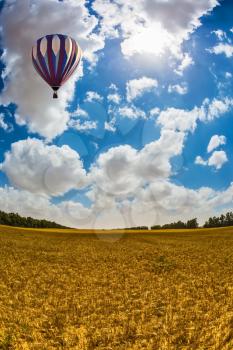  Spring day in Israel. Large bright balloon flying over wheat field