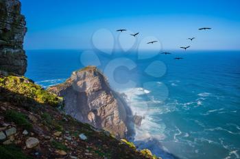 The powerful ocean surf in the Atlantic Ocean. Cape of Good Hope - the most south-westerly point of Africa. Flock of migratory birds at sunset