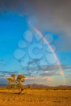 Magnificent rainbow crossed the sky over the desert. Travel to Namibia.The concept of exotic tourism. Dirt road in the African steppe 