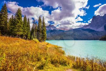 The concept of eco-tourism. Yoho National Park in Canada. Sunny day in autumn. Mountain Emerald lake in the wooded mountains