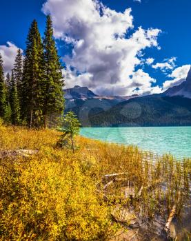 Lake in the Rocky Mountains. The smooth water among the yellowed autumn forest. The concept of eco-tourism and active recreation