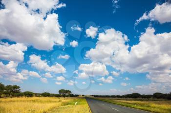 Fluffy clouds over the savannah. Along the road low trees and yellowed grass. The good asphalt highway in Namibia