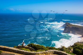 Cape of Good Hope - the most south-westerly point of Africa. Flock of migratory birds at sunset. The powerful ocean surf in the Atlantic Ocean