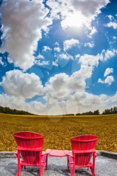 Convenient, comfortable red chairs in a wheat field. Rustic vacation. The concept of eco-tourism