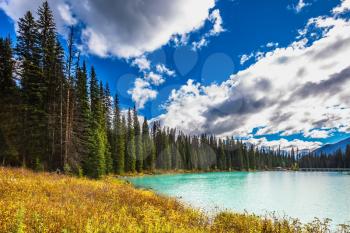 Lake in the Rocky Mountains. The smooth turquoise water among the yellowed autumn forest. The concept of eco-tourism and active recreation