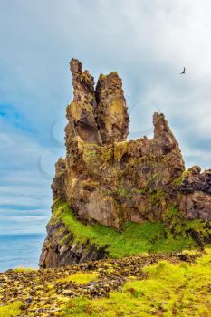 Gorgeous Iceland.  Picturesque rocks covered with moss green and yellow. Northern Atlantic coast
