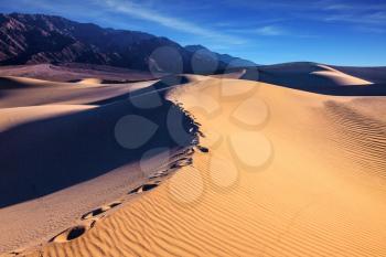 Sandy Desert in Mesquite Flat, Death Valley, USA. Along the edge of the sand dunes is a chain of deep tracks