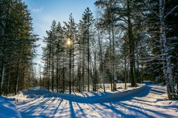 Snowy winter in Lapland. The dim northern sun illuminates the coniferous forest. The concept of active and extreme tourism. In deep snow there are blue shadows