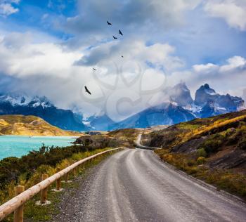 The road around lake Pehoe. Chile, Patagonia. Torres del Paine National Park - Biosphere Reserve. Concept of ecotourism