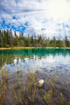 Round lake in the coniferous forest. Canadian Rocky Mountains, lake Annette