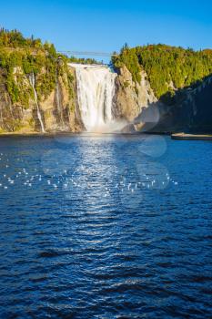 The blue lake and waterfall Montmorency in Montmorency Falls Park, in vicinities Quebec. Flock of water birds resting in water. The concept of active and cultural tourism