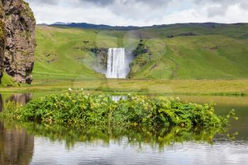 Fantastic reflection. Impressive waterfall Skogafoss reflected in small pond. In the middle of the pond picturesque flower beds