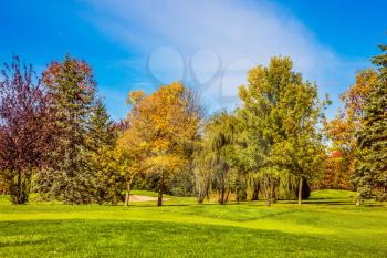 The concept of active and Golf tourism. Golf Club in French Canada. Green grass golf course is surrounded by scenic autumn park