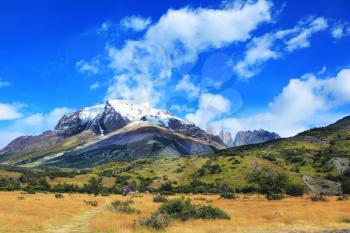Snow-capped mountains and rocks Torres del Paine. Yellowed autumn field, Patagonia. National Park Torres del Paine