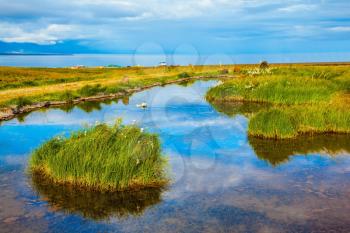 Small pond surrounded by green meadow. In the smooth thermal water reflects  cloudy sky. Summer Iceland