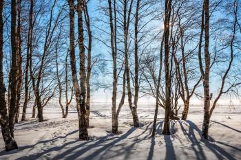 Dull polar winter sun. Long shadows on the snow. The concept of extreme and ecotourism. Bright winter frosty day