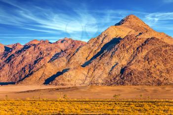 Purple and yellow mountains of the Namib desert. Sunset, Namibia. The concept of extreme and exotic tourism
