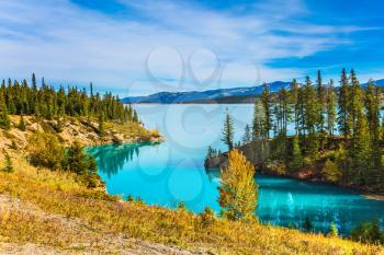 Indian summer in Canada, warm sunny day in autumn. Abraham Lake is the most beautiful lake in the Rockies. The concept of ecological and active tourism