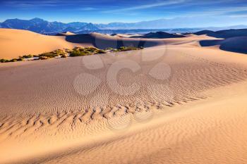 Thin waves on the sand  in Mesquite Flat Sand Dunes. Bright sunny morning in a picturesque part of Death Valley, USA