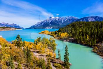 Rocky Mountains of Canada in the Indian summer. Sunny cloudless day in October. Stunning turquoise Abraham Lake. The concept of ecological and active tourism