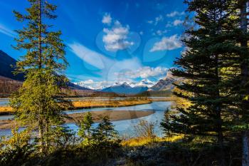 The sunny autumn in the Rockies of Canada. Exquisite Abraham Reservoir Lake. Concept of ecological and active tourism