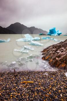 Chile. Blue icebergs float on the water. Lago Gray is a glacial lake in February. Concept of active and exotic tourism