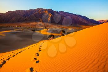 Mesquite Flat Sand Dunes. Bizarre twists of orange sand dunes. On the slopes of the dunes can be seen deep footprints of humans and animals