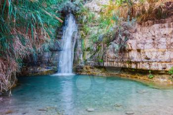 Walk in the national park Ein Gedi, Israel. Beautiful waterfall and a small scenic lake with clear water.