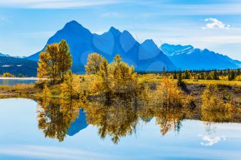 The mirror surface of the fantastic Abraham lake reflects clouds and trees. A sunny autumn day in the Rocky Mountains of Canada. The concept of ecological and active tourism