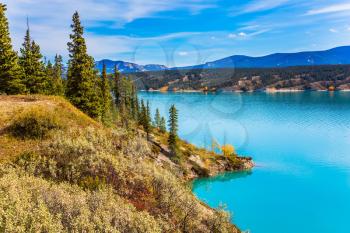 Warm sunny day in autumn. Indian summer in Canada. Abraham Lake is the most beautiful lake in the Rockies. The concept of ecological and active tourism