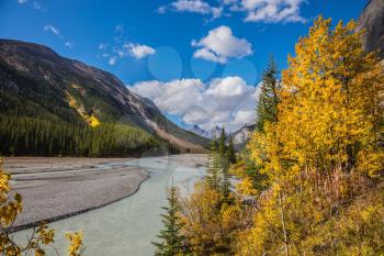 Rocky Mountains. The picturesque valley in Jasper National Park. Autumn decrease in river water