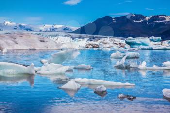 Ice lagoon in Iceland. Magnificent summer morning in the ocean gulf with floating ice floes