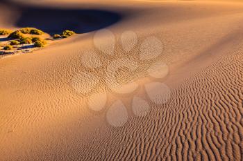 Mesquite Flat Sand Dones in Death Valley. Orange light in the morning over sand dunes. Deep shadows in the hollows