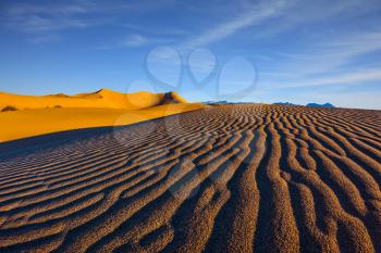 Magnificent sandy waves on dunes. Death Valley, California. Early morning, sunrise