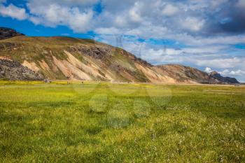 The picturesque valley in national park Landmannalaugar. Summer in Iceland. Green grass among thermal sources