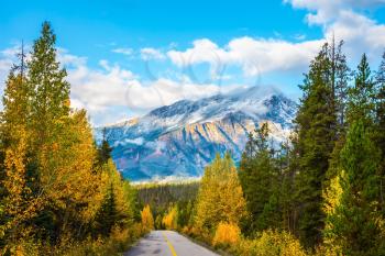 Canadian Rockies in fine September day. The highway passes among mountains and the turned yellow woods