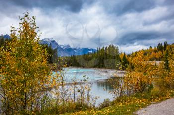  The concept of active and automobile tourism. The snow-capped Rocky Mountains of Canada. Multicolored autumn forests grow along the cold river