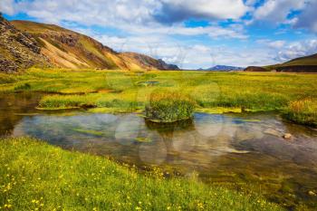 The picturesque valley in the National Park Landmannalaugar. Green grass among hot springs
